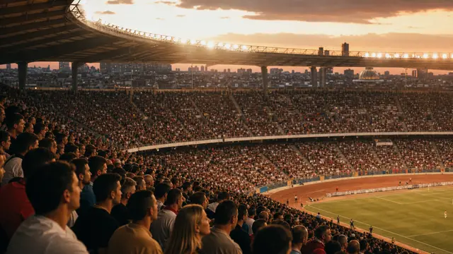 Arenas & stadiums